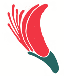 Waikoloa Village Association