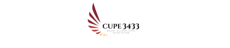 MASA-CUPE 3433