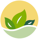 University of Toronto Environmental Resource Network (UTERN) 2026-2027 Executive Team Election